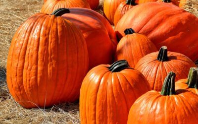 Can’t-miss Fall Festivals Around Flagstaff’s Golf Communities